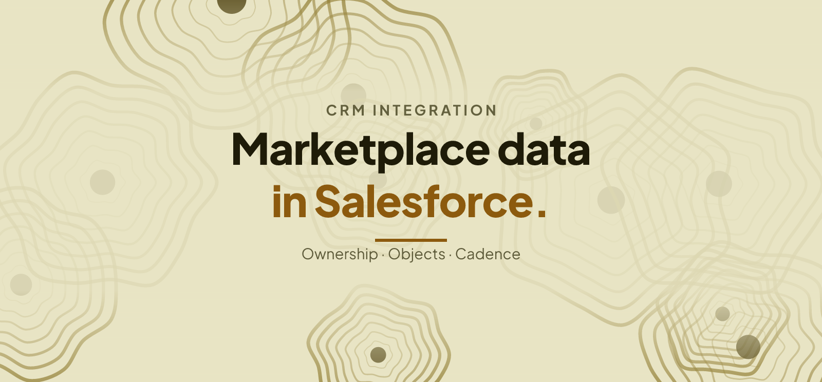 Marketplace Data in Salesforce: What to Sync
